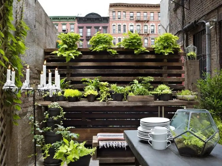 Small garden in front of the house