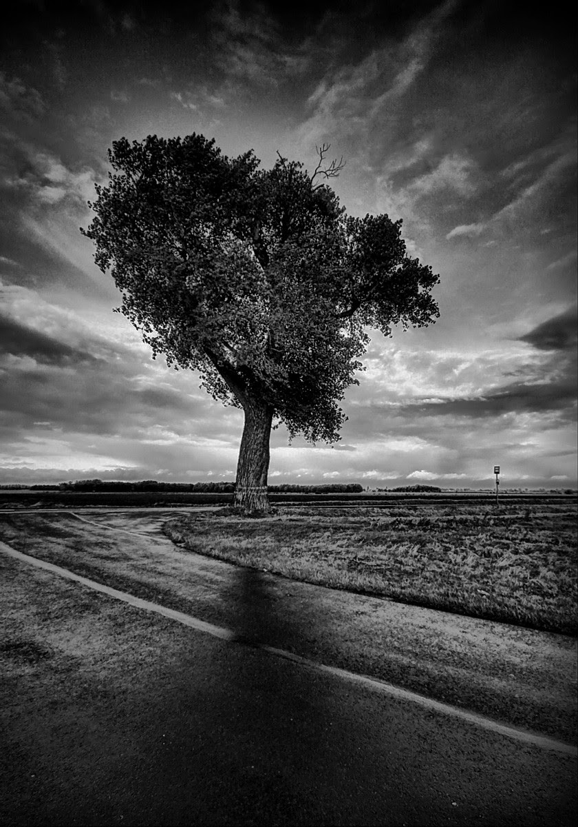 Black White Landscape Photography