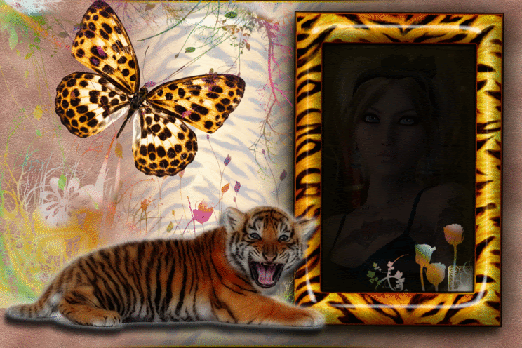IMAGE LUMIERE