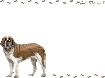 セントバーナードのイラスト 条件付フリー素材集