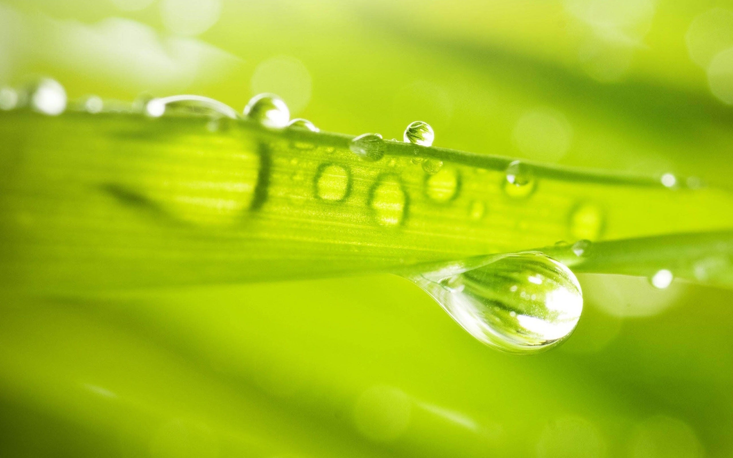 water drop tutorial