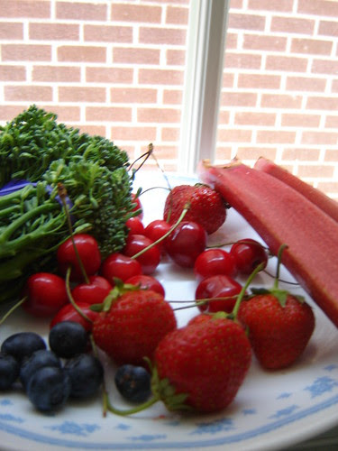 canadian red cherry tree pictures. someone#39;s cherry tree :P