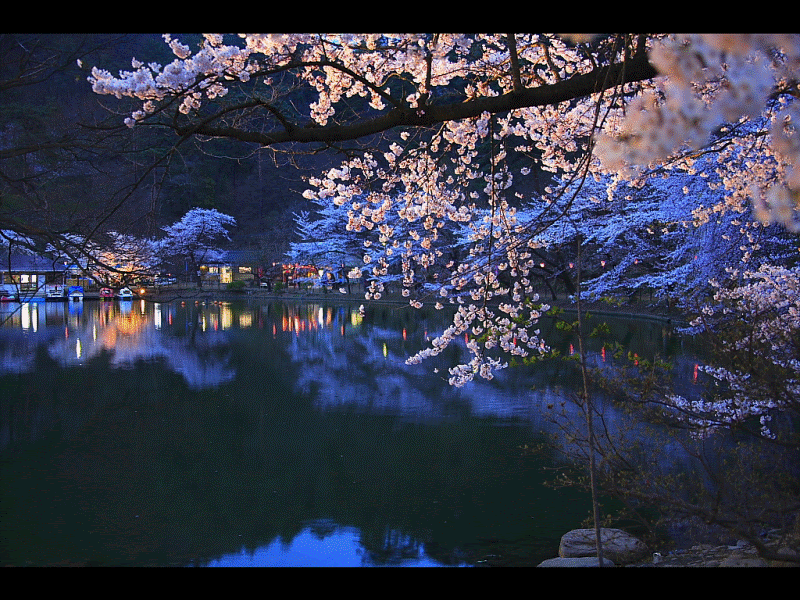 美しい画像集 Beautiful Photos