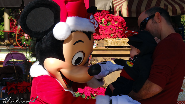 Disneyland Resort, Disneyland, Big Thunder Ranch, Jingle Jangle Jamboree, Christmas Time