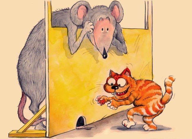 Mouse VS Cats Cartoons