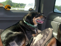 Car_Tut_52609