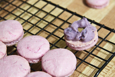 blueberrycheesecakemacs-8