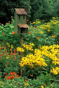 Butterfly Garden Ideas 140