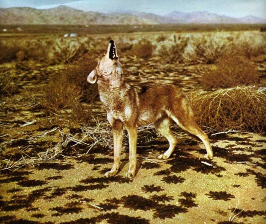 Image Hosted by ImageShack.us