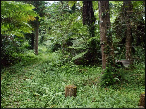 DSC07029