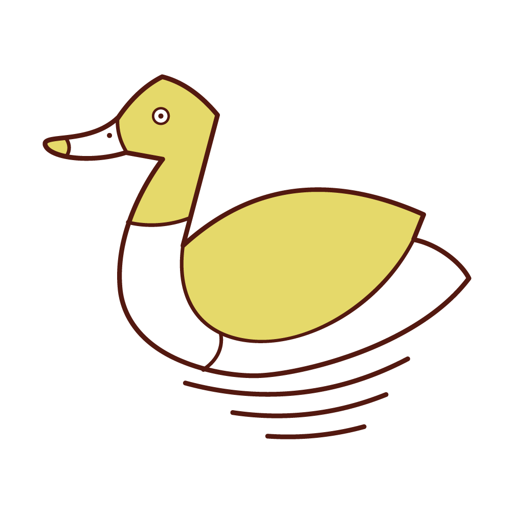 泳ぐカモのイラスト フリーイラスト素材 Kukukeke ククケケ