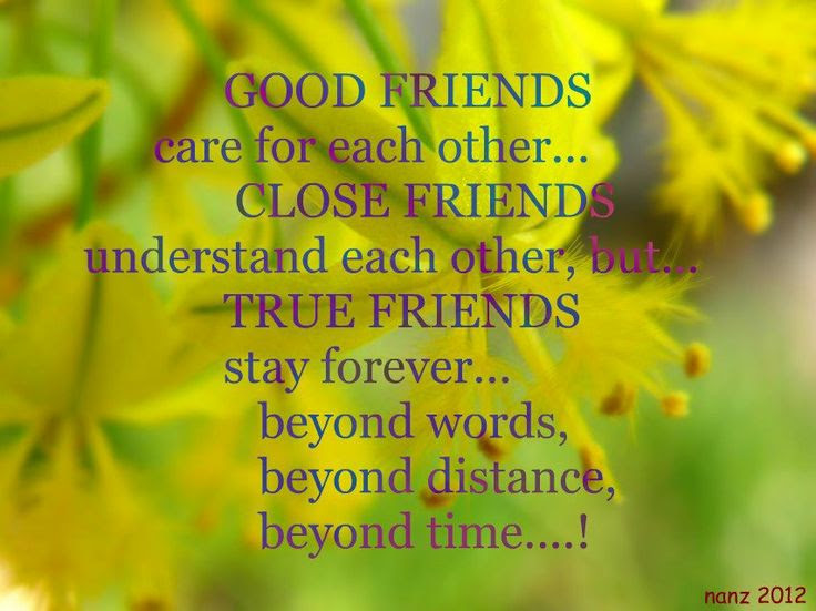 True Friends Words Of Wisdom Pinterest