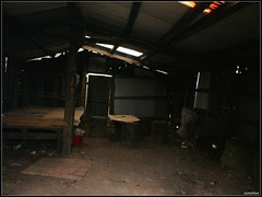 DSC06098
