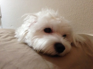 Minnie