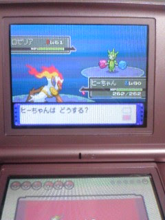 しあわせたまごゲットだぜ プラチナプレイ日記 素人編