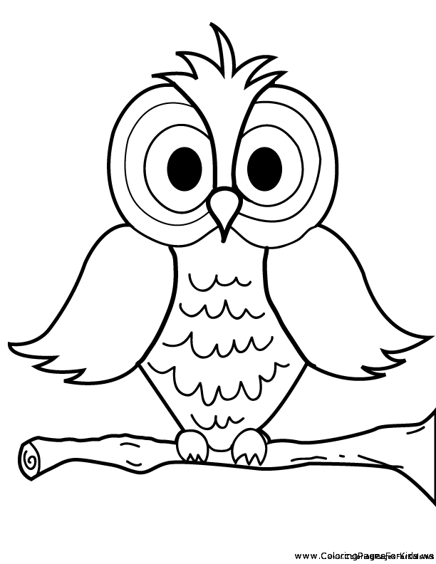 Owl Coloring Pages Preschool - Coloring Home