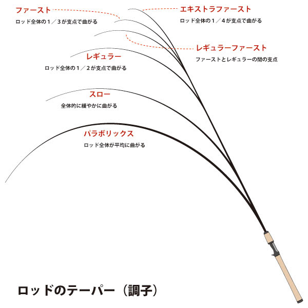 ロッドのテーパー 調子 の違いについて バス釣り
