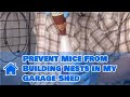 How to keep your shed pest free
 