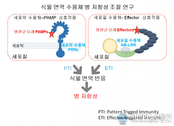 부산대, 올해 '기초연구실지원사업'(BRL)에 최종 선정