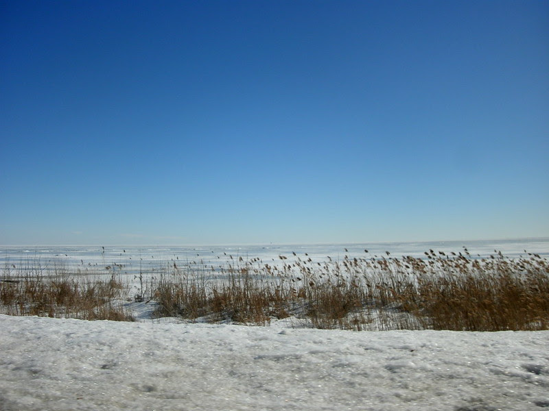Lake St Clair