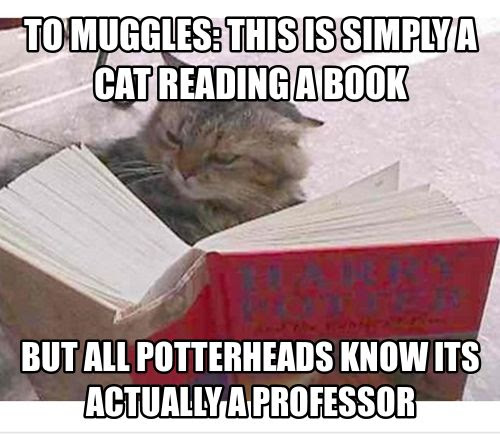 McGonagall!