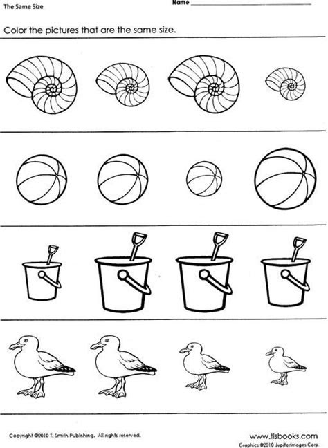  learning about sizes same size at the beach ocean theme preschool