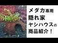 【印刷可能】 メダカ 隠れ家 必要 177595-メダカ隠れ家必要？