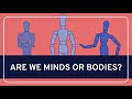 Consciousness: The 'ghost in the machine', or nothing special?