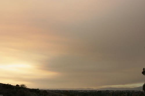 IMG_9285