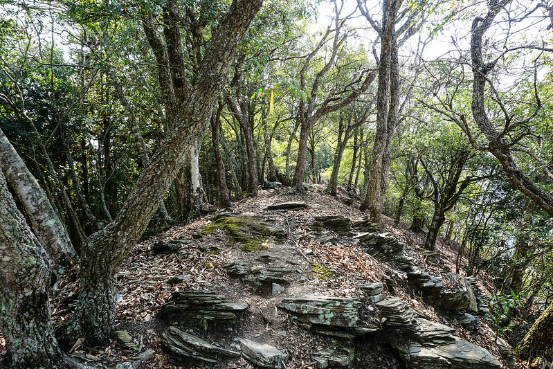 DSC09022