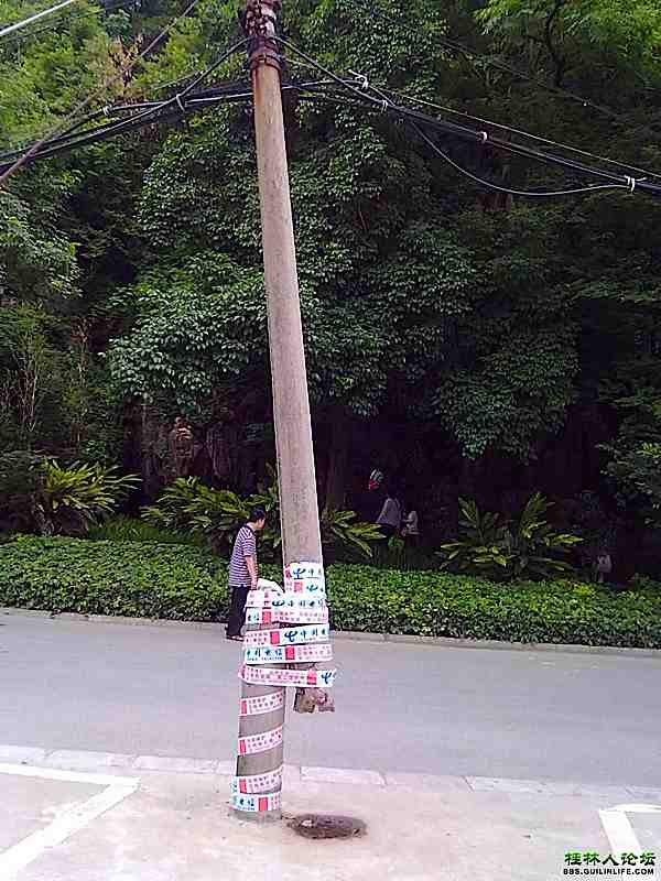 Because China: Telephone Pole Repair Work