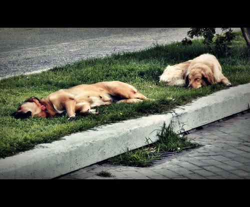 A hard night's day by eve.ps