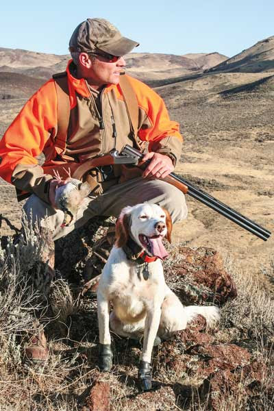 How to Re-Train a Hunting Dog - Gun Dog Magazine
