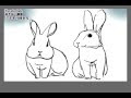 √100以上 線画 リアル かわいい うさぎ イラスト 118370