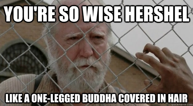 Hershel From The Walking Dead Memes Quickmeme