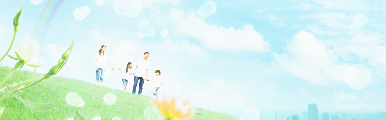 ルネキャット ニッショー クリーンルーム ルネキャット メガソーラー プラント設備などの施工工事