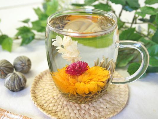 膿瘍 願望 哀 花開く お茶 援助する コントロール 指導する
