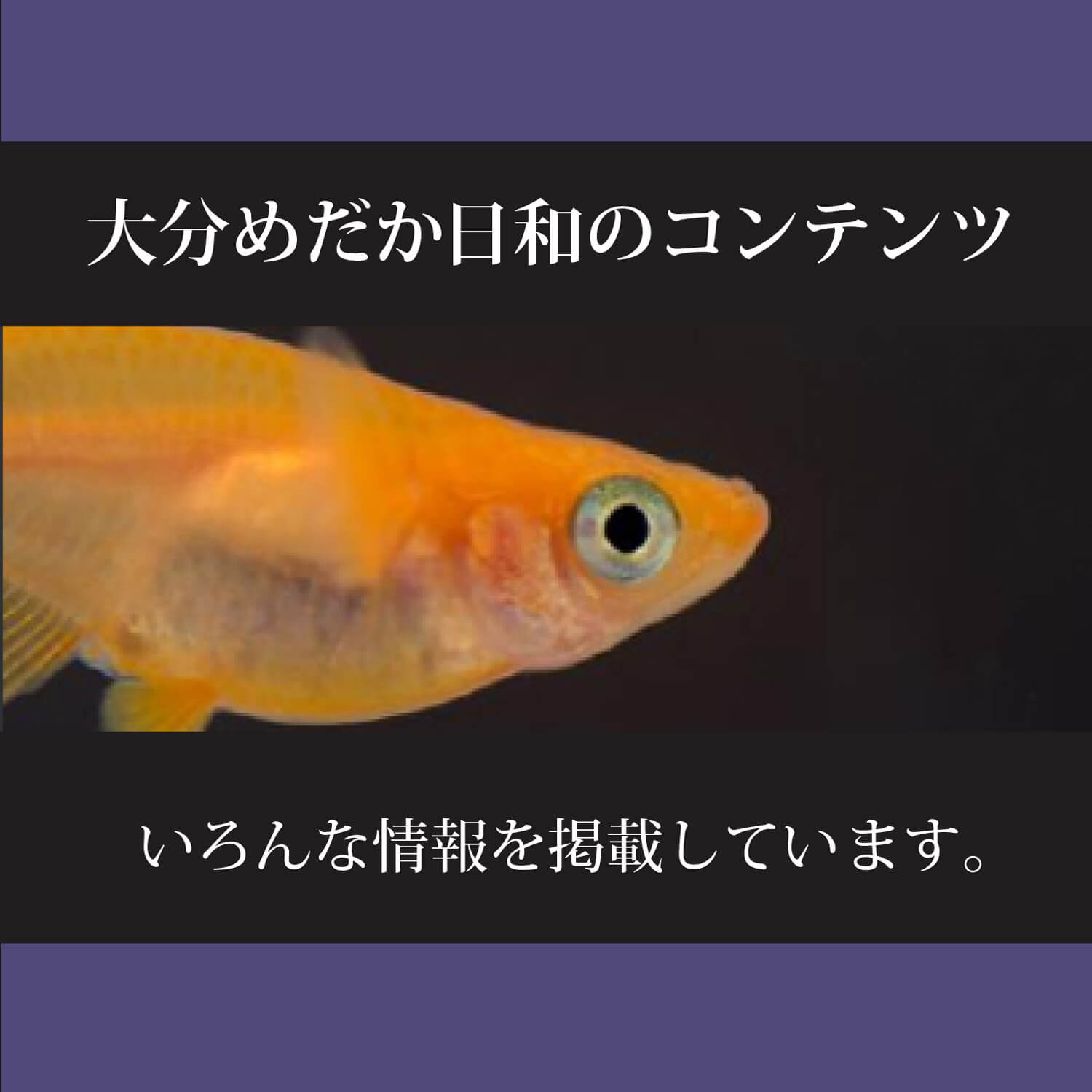 メダカの卵にカビが生える 白カビ 水カビ の原因と防止の方法 メダカの飼育 飼い方を知ろう アクアリウムなら大分めだか日和