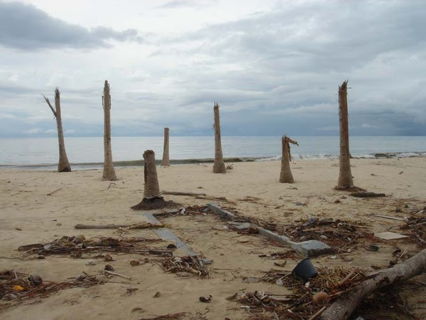 sister tattoo. Sister tattoos