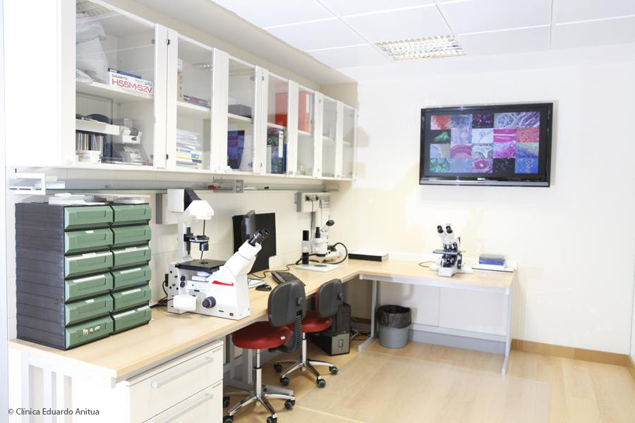 R Amp D Laboratory Eduardo Anitua Clinic