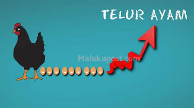 Ambon, Malukupost.com - Para agen yang memasok telur ayam ras dari Surabaya mengisyaratkan harga jualnya mengalami kenaikan karena pengaruh dari sentra produksi. Salah satu agen pemasok telur dari Surabaya, Inang, di Ambon, Selasa (30/5), mengatakan, menaikan harga agar tidak merugi bila hendak memasok kembali. 