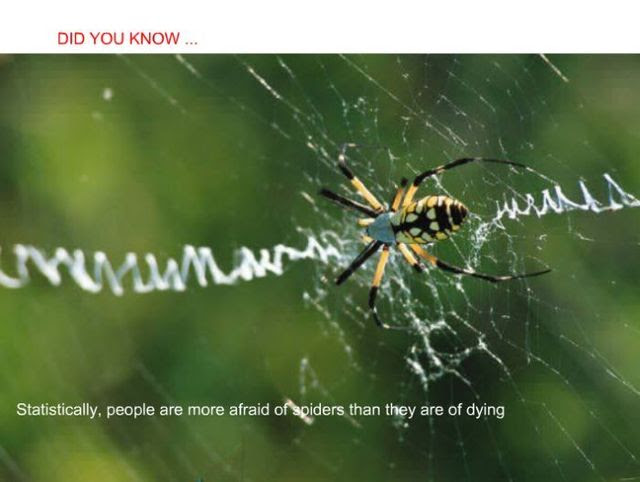 Did you know? (24 pics)