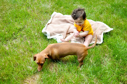 Picture or Video 1127
