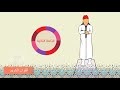 كيفية صلاة العيد في البيت : كيف أصلي صلاة العيد في البيت وما هي سنن العيد؟ - تريندات : كيفية أداء صلاة العيد بالمنزل.
