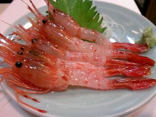 シマエビの刺身 かどや