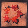 Autumn's Shadows