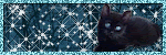  photo PCB-dlm-0311111.gif