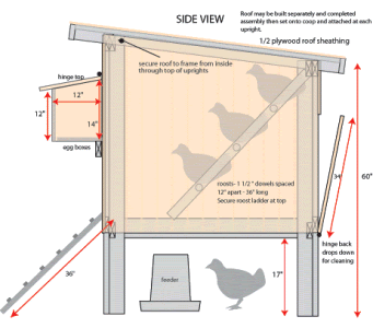 Purina Chicken Coop Plans How to Build DIY by ...