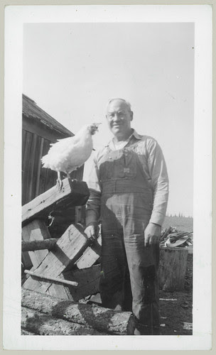 Chicken