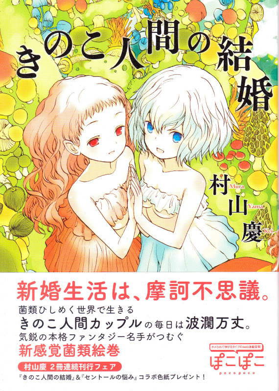 女の惑星 愛媛の小さな古本屋 Full本屋 入荷情報etc